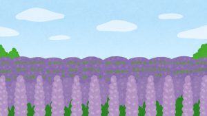 bg_lavender_flower