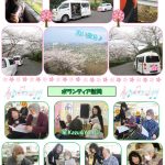 行事の様子を収めました。市民の森の桜間ちょうど見ごろでした。西条市を一望しながらの絶景でした✨