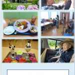 行事の様子を収めました。猛暑前の外出で紫陽花見学に行きました。きれいでしたよ！