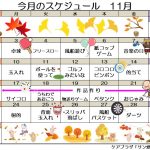 11月の行事予定です。毎日行事が盛りだくさん。しっかり参加してくださいね！